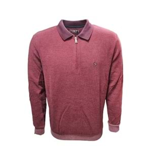 Rey Polo R01253 Erkek Basic Selanik Polo Yaka Sweatshirt