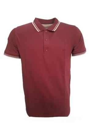 Rey Polo Erkek Basic Polo Yaka Kısa Kol T-shirt R01201 - Bordo - M