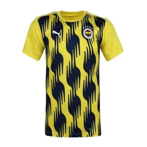 Fenerbahçe F01796 A Takım Seremonı Kısa Kol T-shirt 2024-2025