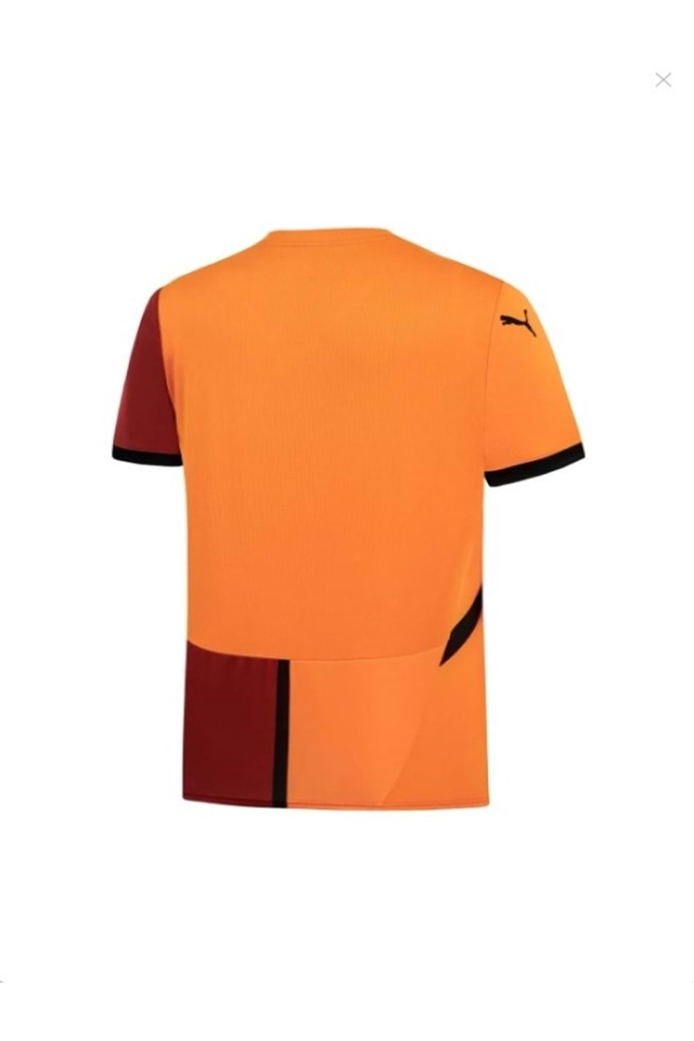 Puma Galatasaray Gsk Home Jersey Wo 779650_01 Erkek İç Saha Forma 2024/2025 - Sarı - ST02674-Sarı-S